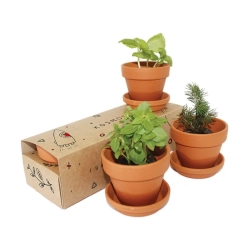 Ceramiczny Ogródek XL — zestaw z podstawkami / Ceramika trójpak XXL
